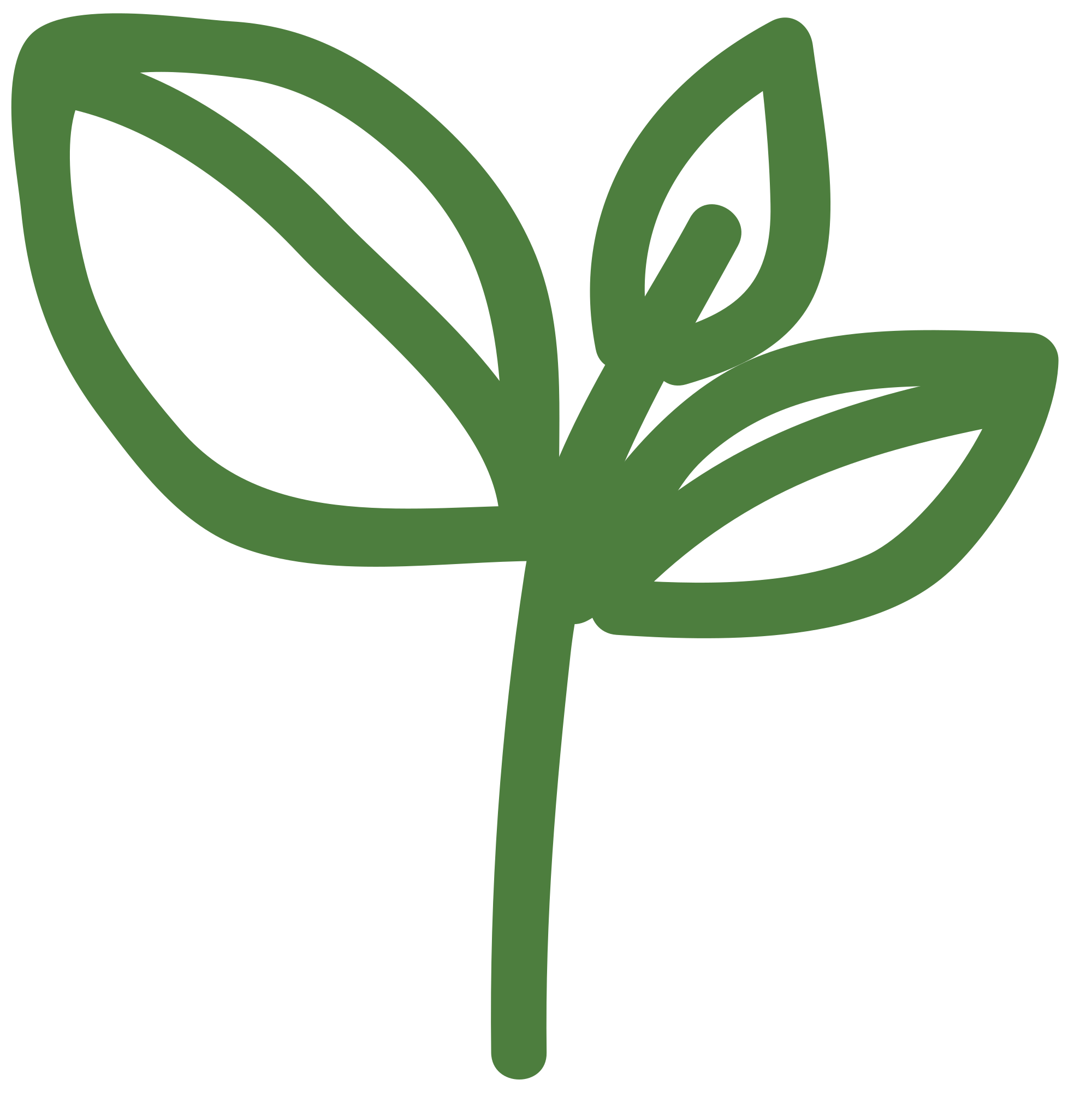 NaturKraft Logo